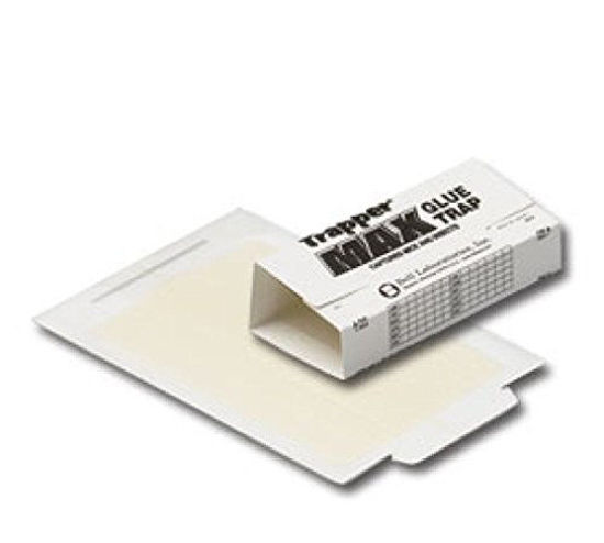 Picture of Trapper Max Glue Traps 12 Glue Boards Trap Mouse Bugs Insects Bed Bugs Spiders Cockroaches Non-Toxic