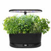 Picture of AeroGarden Bounty Basic Indoor Hydroponic Herb Garden, Black