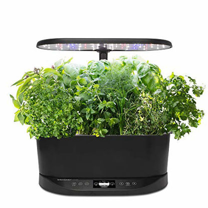 Picture of AeroGarden Bounty Basic Indoor Hydroponic Herb Garden, Black