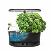 Picture of AeroGarden Bounty Basic Indoor Hydroponic Herb Garden, Black