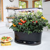Picture of AeroGarden Bounty Basic Indoor Hydroponic Herb Garden, Black