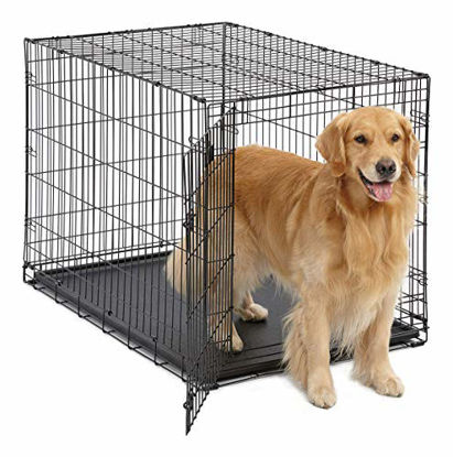Picture of Large Dog Crate | MidWest ICrate Folding Metal Dog Crate | Divider Panel, Floor Protecting Feet Large Dog