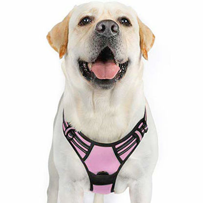 Picture of rabbitgoo Dog Harness, No-Pull Pet Harness with 2 Leash Clips, Adjustable Soft Padded Dog Vest, Reflective No-Choke Pet Oxford Vest with Easy Control Handle for Large Dogs, Pink (XL, Chest 20.3-39.6")