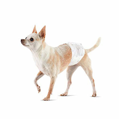 Picture of Amazon Basics Male Dog Wrap, Disposable Diapers, X-Small (8-12" Waist) - Pack of 30