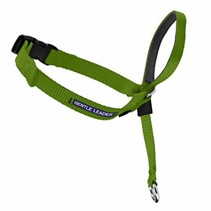 Picture of PetSafe Gentle Leader Head Collar with Training DVD, SMALL UP TO 25 LBS., APPLE GREEN