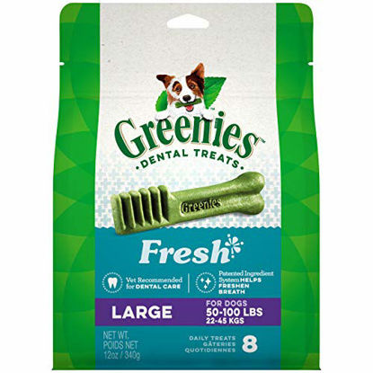 Picture of GREENIES Large Natural Dog Dental Care Chews Oral Health Dog Treats Fresh Flavor, 12 oz. Pack (8 Treats)