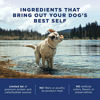 Picture of Natural Balance L.I.D. Limited Ingredient Diets Dry Dog Food, Lamb Formula, 4 Pounds, Grain Free