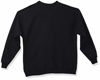 Picture of Hanes Men's Ecosmart Fleece Sweatshirt, Black, Small