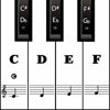 Picture of Piano Keyboard Stickers for 88/61/ 54/49 Key, Black Transparent Removable for kids Beginners (Black)