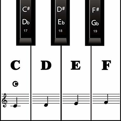 Picture of Piano Keyboard Stickers for 88/61/ 54/49 Key, Black Transparent Removable for kids Beginners (Black)