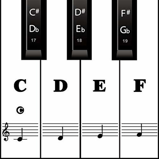 Picture of Piano Keyboard Stickers for 88/61/ 54/49 Key, Black Transparent Removable for kids Beginners (Black)