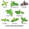 Picture of AeroGarden International Basil Seed Kit (9 pod)