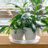 Picture of MUDEELA 6 Pack of 10 inch Plant Saucer, Durable Plastic Plant Trays for Indoors, Clear Plastic Flower Plant Pot Saucer, Made of Thicker, Stronger Plastic, with Taller Design