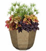 Picture of Classic Home and Garden 8005-188T Planter, 15" Shaina, Earth