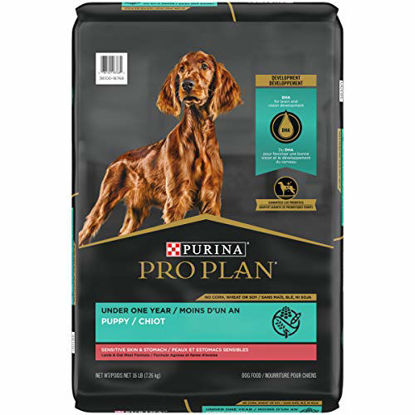 Picture of Purina Pro Plan with Probiotics, Sensitive Stomach Dry Puppy Food, Sensitive Skin & Stomach Lamb & Oat Meal - 16 lb. Bag