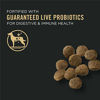 Picture of Purina Pro Plan with Probiotics, Sensitive Stomach Dry Puppy Food, Sensitive Skin & Stomach Lamb & Oat Meal - 16 lb. Bag