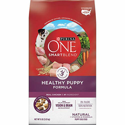 Picture of Purina ONE Natural Dry Puppy Food, SmartBlend Healthy Puppy Formula - 8 lb. Bag