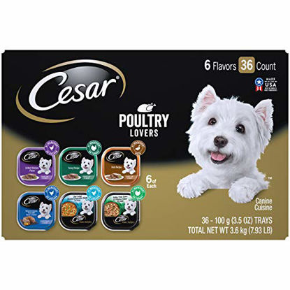 Picture of CESAR Soft Wet Dog Food Classic Loaf in Sauce Steak and Chicken Lovers Variety Pack, 6 Flavours - 36 Count