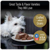 Picture of CESAR Soft Wet Dog Food Classic Loaf in Sauce Steak and Chicken Lovers Variety Pack, 6 Flavours - 36 Count