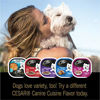 Picture of CESAR Soft Wet Dog Food Classic Loaf in Sauce Steak and Chicken Lovers Variety Pack, 6 Flavours - 36 Count