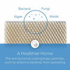 Picture of Honeywell Home HC22P1001/U HC22P Whole House Humidifier Pad, Paper, Anti-Microbial Coating,white
