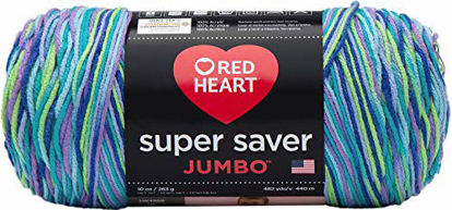 Picture of RED HEART Super Saver Jumbo Yarn, Wildflower
