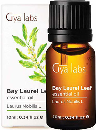 Picture of Gya Labs Bay Leaf Essential Oil for Hair Growth, Pain Relief and Sleep - 100 Pure Bay Leaf Oil Therapeutic Grade Bay Laurel Essential Oil for Aromatherapy - 10ml