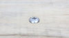 Picture of #10 x 2" Stainless Truss Head Phillips Wood Screw (100pc) 18-8 (304) Stainless Steel Screws by Bolt Dropper