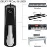 Picture of Donner DK-1 Sustain Pedal for Keyboard Digital Piano Foot Pedal
