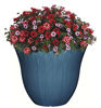 Picture of Classic Home and Garden Patio Pot Ocean 13" Honeysuckle, 13 Inch