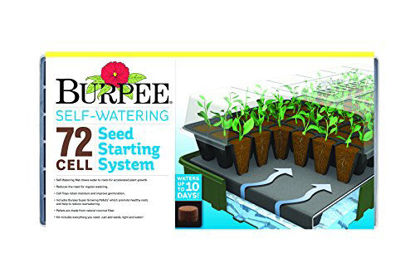 Picture of Burpee Self-Watering Seed Starter Tray, 72 Cells