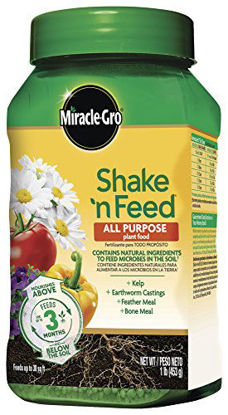 Picture of Miracle-Gro Shake 'N Feed All Purpose Plant Food 1 lb