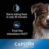 Picture of Capstar Fast-Acting Oral Flea Treatment for Large Dogs, 6 Doses, 57 mg (26-125 lbs)