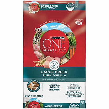 Picture of Purina ONE Natural Large Breed Dry Puppy Food, SmartBlend Formula - 31.1 lb. Bag