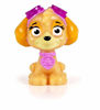 Picture of Paw Patrol Figure Zuma 6 Pieces Set