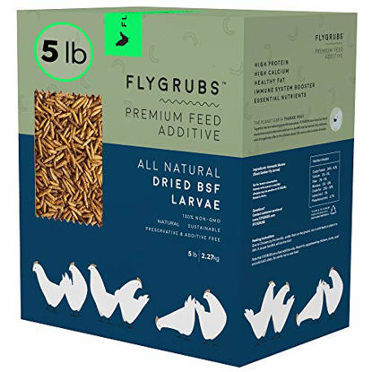 Picture of FLYGRUBS Superior to Dried Mealworms for Chickens (5 lbs) - Non-GMO - 85X More Calcium Than Meal Worms - Chicken Feed & Molting Supplement - BSF Larvae Treats for Hens, Ducks, Birds