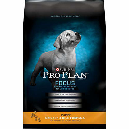 Picture of Purina Pro Plan Dry Puppy Food, FOCUS Chicken & Rice Formula - 6 lb. Bag