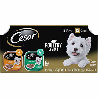 Picture of CESAR Soft Wet Dog Food Filets in Gravy Poultry Lovers Variety Pack, (24) 3.5 oz. Easy Peel Trays