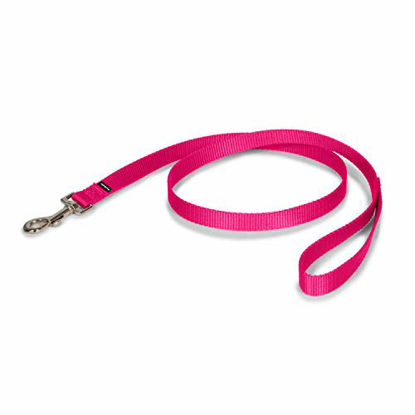 Picture of PetSafe Medium Leash, 3/4" x 4', Raspberry Pink