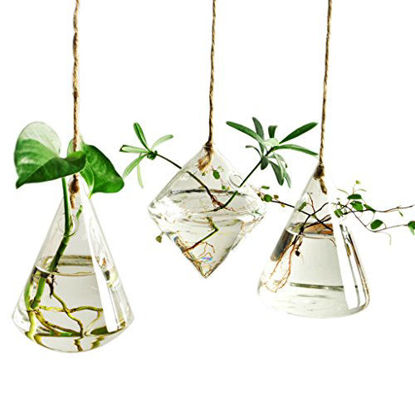 Picture of Ivolador Terrarium Container Flower Planter Hanging Glass for Hydroponic Plants Home Garden Decor -3 Type