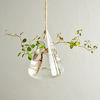 Picture of Ivolador Terrarium Container Flower Planter Hanging Glass for Hydroponic Plants Home Garden Decor -3 Type