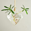 Picture of Ivolador Terrarium Container Flower Planter Hanging Glass for Hydroponic Plants Home Garden Decor -3 Type