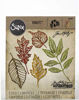Picture of Sizzix TH Thinlits Skeleton Leaves, None