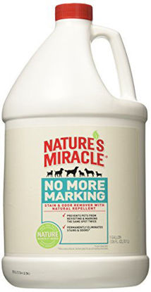 Picture of Nature's Miracle No More Marking Stain & Odor Remover, Gallon (P-5560)