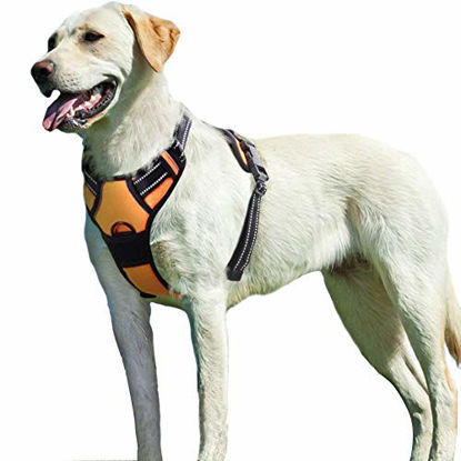Picture of Eagloo Dog Harness No Pull, Walking Pet Harness with 2 Metal Rings and Handle Adjustable Reflective Breathable Oxford Soft Vest Easy Control Front Clip Harness Outdoor for Large Dogs Orange