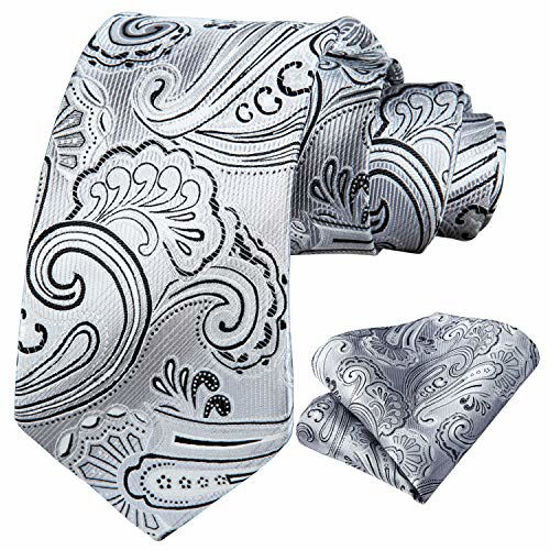 Picture of HISDERN Paisley Tie for Men Handkerchief Woven Classic Floral Men's Necktie & Pocket Square Set Silver