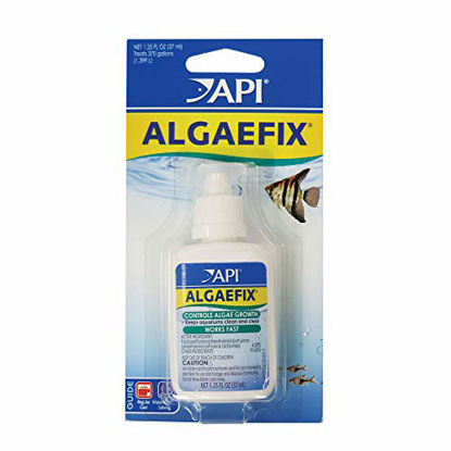 Picture of API ALGAEFIX Algae Control 1.25-Ounce Bottle, ALGAEFIX 1.25 OZ