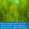 Picture of API ALGAEFIX Algae Control 1.25-Ounce Bottle, ALGAEFIX 1.25 OZ