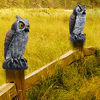 Picture of Hausse 2 Pack Fake Horned Owl Bird Scarecrow Decoy, Plastic Owl Bird Deterrents, Nature Enemy Pest Repellent for Outdoor Garden Yard