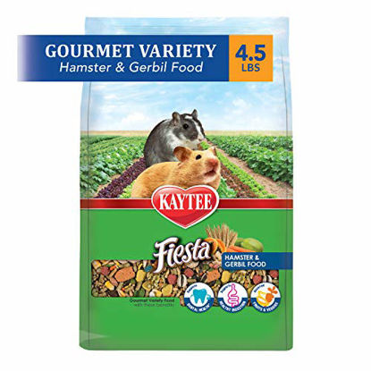 Picture of Kaytee Fiesta Hamster And Gerbil Food, 4.5-Lb Bag